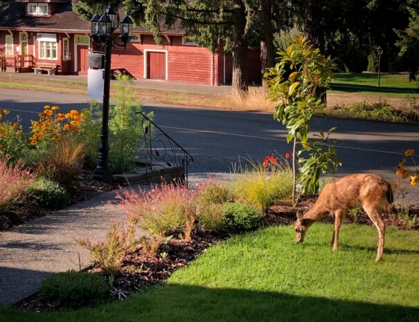 1f4dd1d7-be3f-4f0a-8d3d-dcd79528adbd