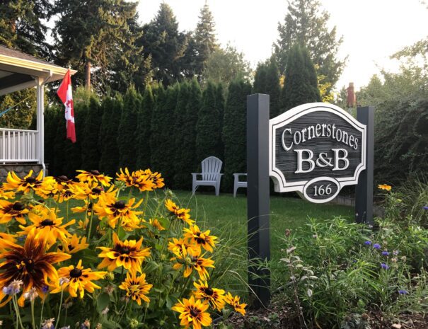 55bf862a-45d7-40a7-b1ec-7065f1b76749