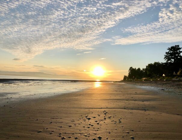 e9b85939-4cf3-44fc-9ec4-0b117bc763ab